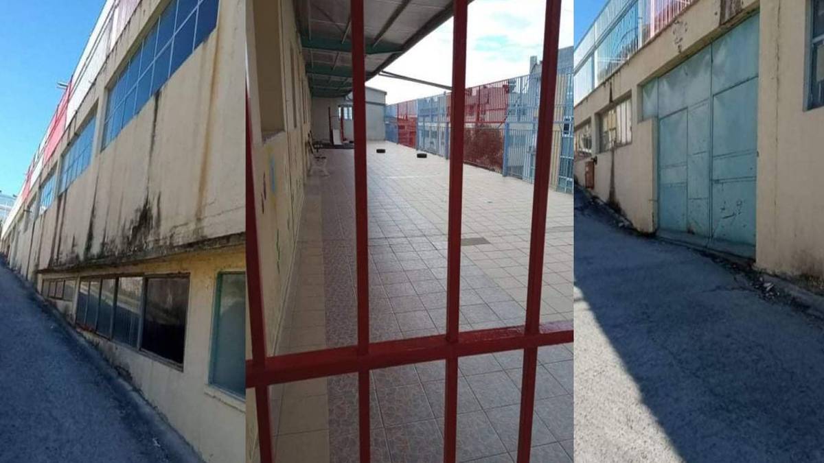 Σοκ στα σχολεία: Παιδιά αρρώστησαν από ποντίκια! Απίστευτες εικόνες