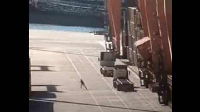 Σοκαριστικό βίντεο στον Πειραιά: Λιμενεργάτης γλιτώνει την τελευταία στιγμή από πτώση κοντέινερ
