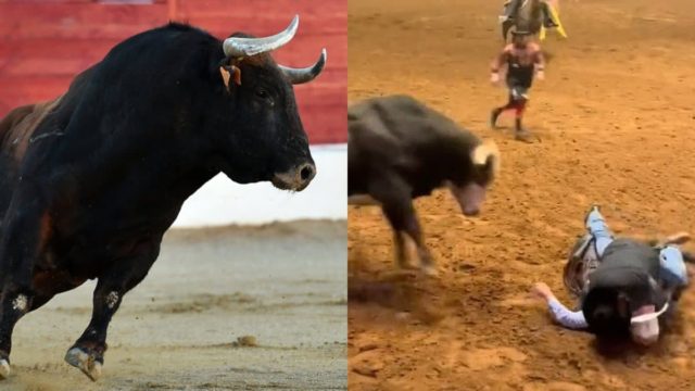 Μπαμπάς της χρονιάς! H απίστευτη στιγμή που πατέρας προστατεύει τον 18χρονο γιο του από το ποδοπάτημα ταύρου (video)