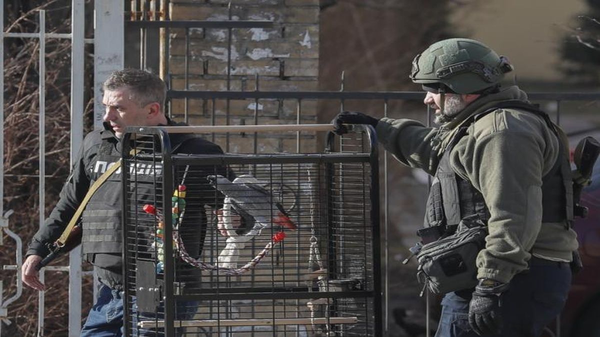 Πόλεμος στην Ουκρανία: Επίθεση με πυρά δέχθηκαν δημοσιογράφοι έξω από το Κίεβο (video)