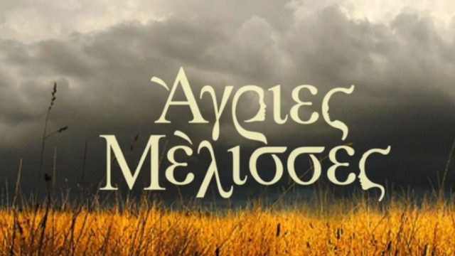 Άγριες Μέλισσες: Το διαζύγιο, η εγκυμοσύνη και η μεγάλη ανακάλυψη