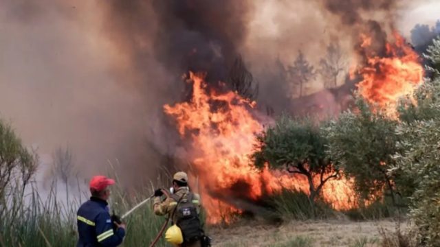 Φωτιά στη Σάμο: Μάχη δίνουν οι πυροσβέστες – Δυνάμεις από τον Πειραιά μεταβαίνουν ακτοπλοϊκώς στο νησί