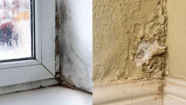 Υπάρχει λύση: Πώς θα μειώσετε την υγρασία στο σπίτι σας χωρίς να ξοδέψετε ούτε 1 ευρώ!