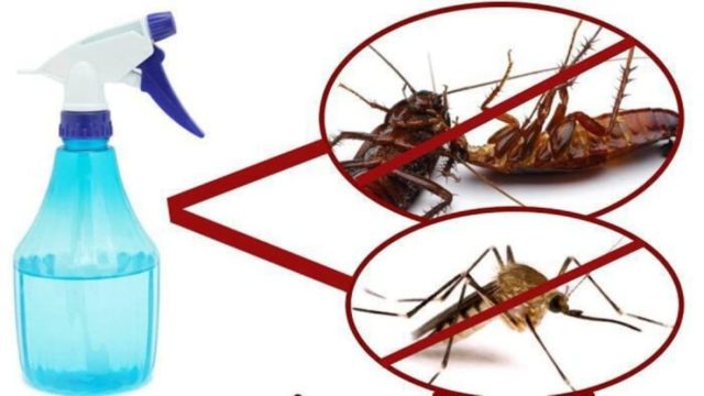 Ψεκάζει με αυτό το μείγμα κα μετά από 2 ώρες… κουνούπια, μύγες και κατσαρίδες εξαφανίζονται!
