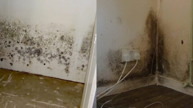 Συμβουλές: Τι να κάνετε για να μην πιάνει μούχλα το ντουλάπι σας από την υγρασία