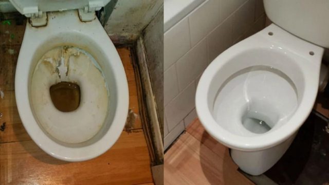 Το μυστικό των γιαγιάδων: Ο σωστός τρόπος να καθαρίσεις το πουρί από τη λεκάνη της τουαλέτας με λεμόνι