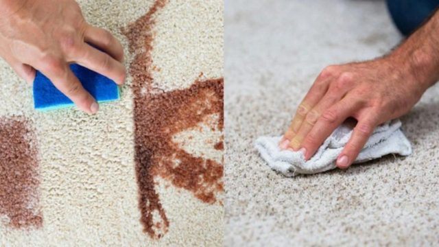 Γέμισαν λεκέδες τα χαλιά; Με ξύδι και άλλο 1 πάμφθηνο υλικό θα γίνουν ξανά πεντακάθαρα!