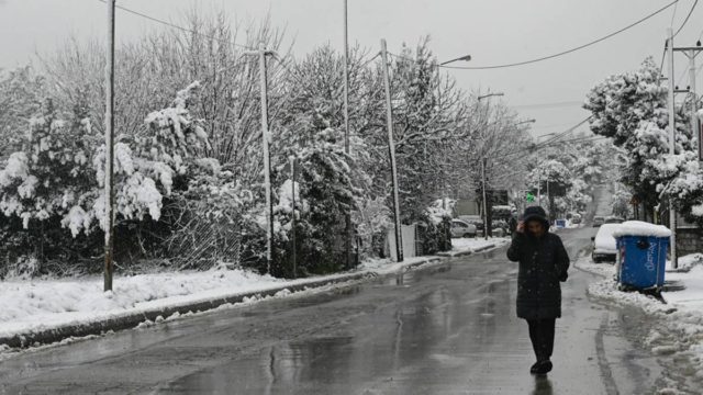 Η φωτογραφία της ημέρας: Άνοιξη στα λευκά…