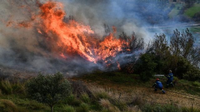 Φωτιά στη Λακωνία: Μαίνεται το πύρινο μέτωπο – Επιχειρούν 99 πυροσβέστες