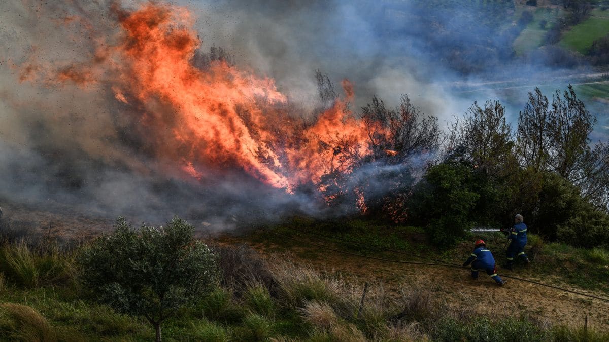 Φωτιά στη Λακωνία: Μαίνεται το πύρινο μέτωπο – Επιχειρούν 99 πυροσβέστες