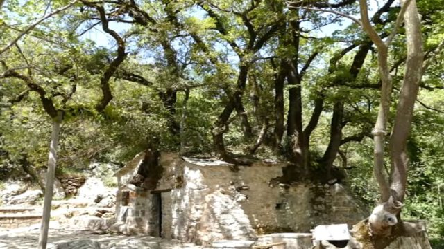 Ένα μικρό χωριό της Αρκαδίας άγνωστο στους περισσότερους με το εκκλησάκι που έχει στη στέγη του…17 δέντρα!