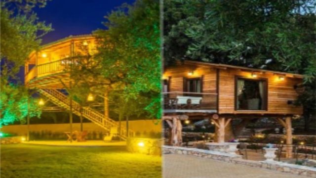 Το παιδικό όνειρο που γίνεται πραγματικότητα: 4 μέρη στην Ελλάδα που μπορείς να μείνεις σε δεντρόσπιτο