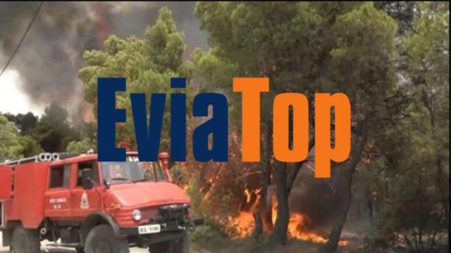 Φωτιά στην Κάρυστο: Σε δασική έκταση στον Άγιο Δημήτριο