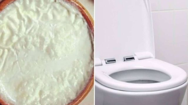 Εσύ το έχεις δοκιμάσει; Δεν φαντάζεσαι τι θα συμβεί αν ρίξεις γιαούρτι στη λεκάνη της τουαλέτας!