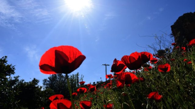 Καιρός σήμερα 24/4: Με λιακάδα το σούβλισμα του οβελία! Η πρόγνωση για κάθε περιοχή – Τους 27 βαθμούς θα αγγίξει ο υδράργυρος (Video)