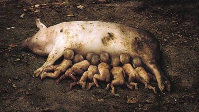 9 σοκαριστικές διαφημίσεις που δεν έχουν στόχο να «χαϊδέψουν» τα μάτια μας!