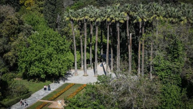 Η φωτογραφία της ημέρας: Σαββατιάτικη… βόλτα στον Εθνικό Κήπο