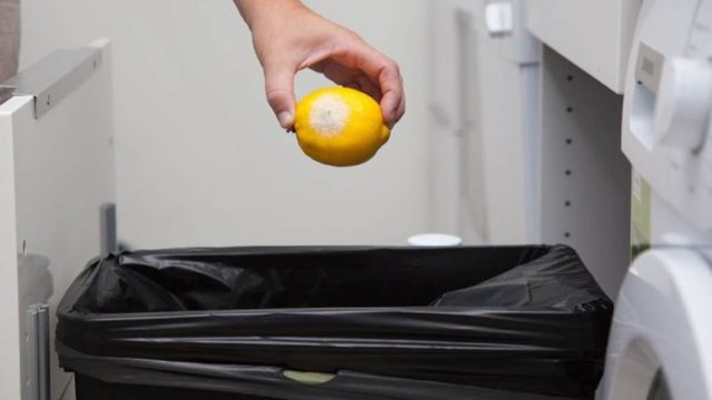 Μούχλα στα τρόφιμα: Ποια κρατάμε και ποια πετάμε;