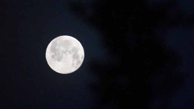 Η φωτογραφία της ημέρας: Όταν έχει Πανσέληνο…
