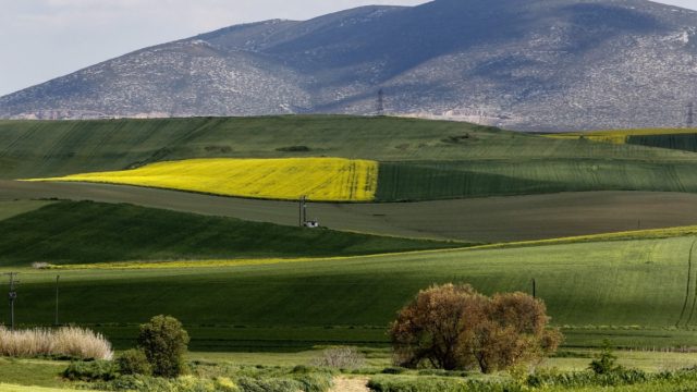 Η φωτογραφία της ημέρας: Καλημέρα από τον χρωματιστό Θεσσαλικό κάμπο!