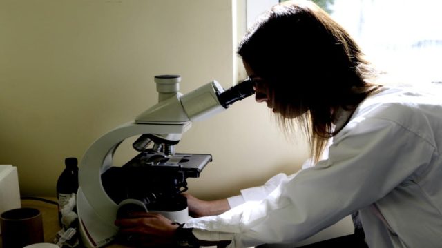 Παγκόσμια ανησυχία από το «καμπανάκι» του ΠΟΥ: «Η εξάπλωση της ευλογιάς των πιθήκων ίσως επιταχυνθεί το καλοκαίρι»