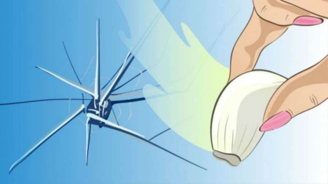 Με μόλις μια σκελίδα σκόρδο στο τζάμι του παραθύρου σας θα πετύχετε το απίστευτο!