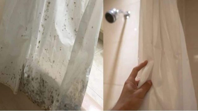 Μούχλα στην κουρτίνα του μπάνιου: Φτιάξτε αuτό το μείγμα με 2 υλικά από την κουζίνα σας και εξαφανίστε την
