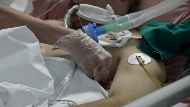 Ευλογιά των πιθήκων – Παγκόσμιος συναγερμός: Όσα πρέπει να γνωρίζουμε για τη νόσο και τη μετάδοσή της (video)