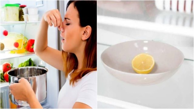 Τοποθέτησε μια φέτα λεμόνι στο ψυγείο και καταπολέμησε τη δυσοσμία στη στιγμή