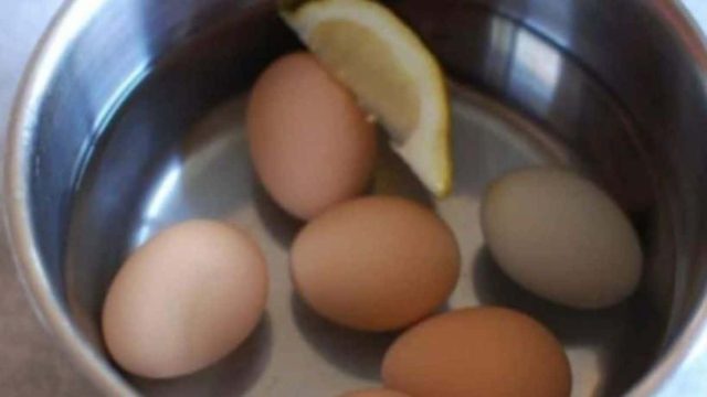 Βράζει αυγά και ρίχνει μέσα μια φέτα λεμόνι. Αποκλείεται να μην το δοκιμάσετε