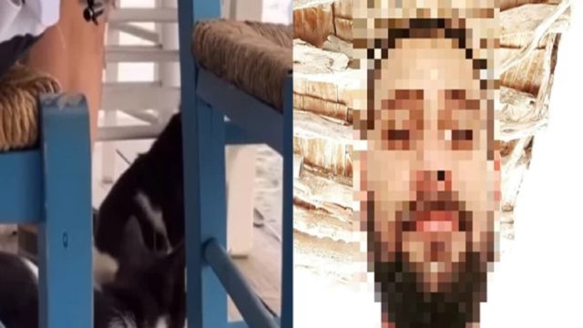 Αιδηψός: Το «σκοτεινό» παρελθόν του 30χρονου – Είχε συλληφθεί με 67 κιλά κάνναβη! (Video)