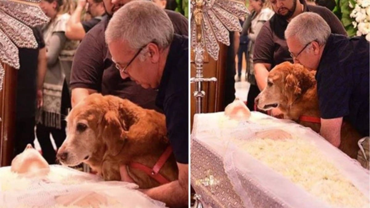 Ραγίζει καρδιές το σκυλάκι που κλαίει με λυγμούς πάνω από το φέρετρο του αφεντικού του!