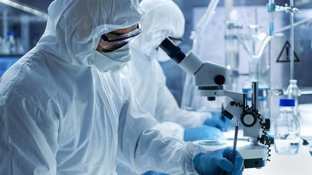 Ευλογιά των πιθήκων: Παγκόσμια ανησυχία για τη μετάδοση το καλοκαίρι – Συστάσεις για εμβόλιο