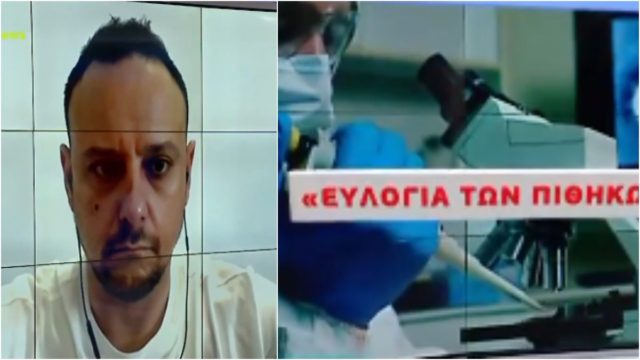 “Καμπανάκι” Μαγιορκίνη για ευλογιά των πιθήκων – Συναγερμός στην Ευρώπη με την εξάπλωση του ιού (video)