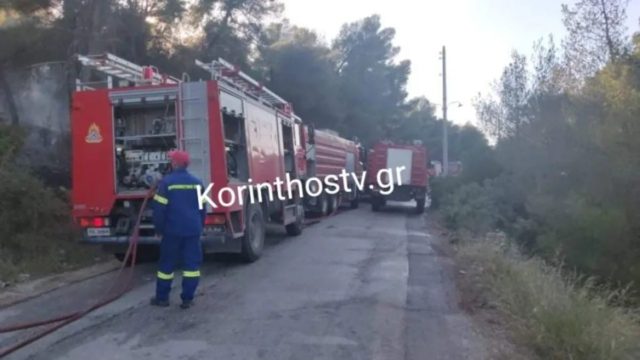 Συναγερμός στις Κεχριές: Πυρκαγιά σε δασική έκταση