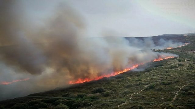Μεγάλη φωτιά στην Σαλαμίνα – Επιχειρούν εναέρια μέσα