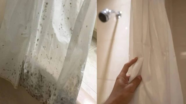 Το καλύτερο κόλπο: Έτσι θα απομακρύνετε την μούχλα από τις κουρτίνες του μπάνιου