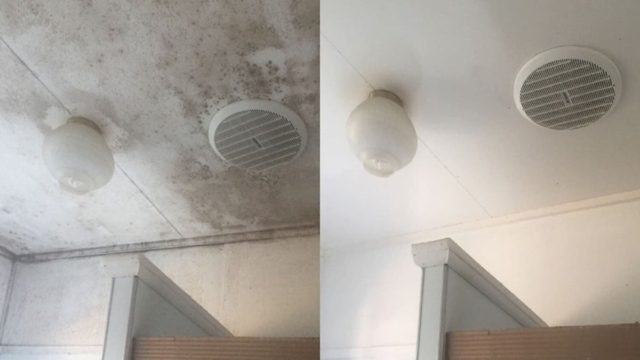 Μούχλα στο ταβάνι του μπάνιου; Με αυτούς τους έξυπνους τρόπους θα την αντιμετωπίσεις