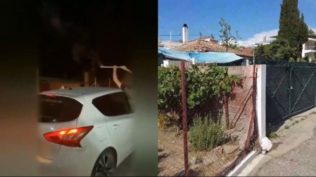 Πύργος – Τώρα τα… γυρίζουν: «Ομολόγησε» 20χρονος που πετούσε βεγγαλικά στον Θύμιο – «Ήταν λάθος, θέλω να βρεθεί» (video)