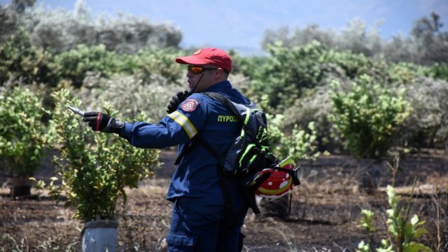 Συναγερμός στην Πυροσβεστική: Ξέσπασε πυρκαγιά στα Σπάτα – Επί ποδός και ομάδες εθελοντών