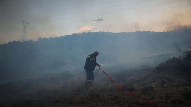Συναγερμός στις Αρχές: Συνελήφθη αλλοδαπός για απόπειρα εμπρησμού σε πευκοδάσος στη Μαλακάσα