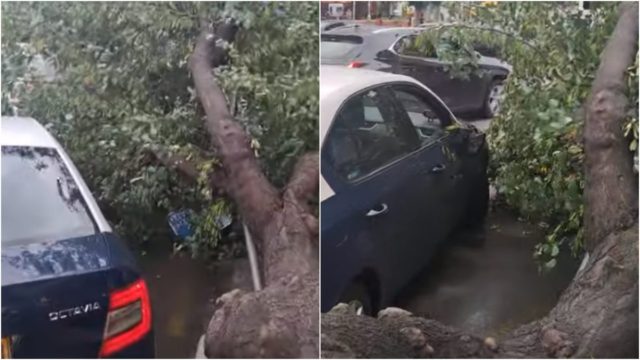 Τρόμος στη Θεσσαλονίκη: Άνεμος ξερίζωσε δέντρο και έπεσε πάνω σε ταξί την ώρα που επέβαιναν πελάτες (video)