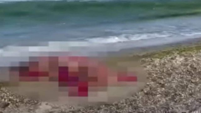 Βίντεο σοκ: Άνδρας έκανε μπάνιο σε παραλία και διαμελίστηκε από έκρηξη νάρκης!