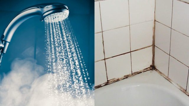 O σύμμαχος της υγρασίας βρίσκεται στο μπάνιο σας και δεν το ξέρετε