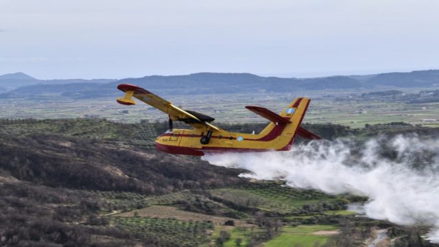 Φωτιά στην Τανάγρα Βοιωτίας