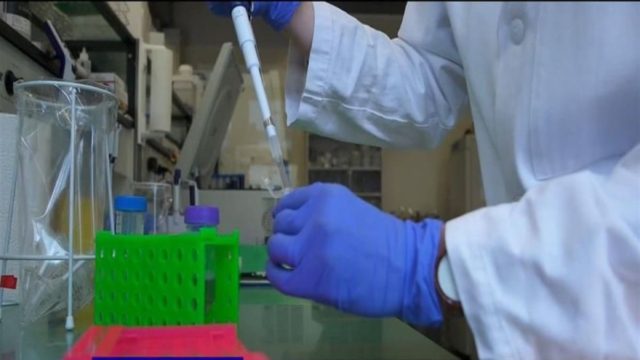 Ευλογιά των πιθήκων: Γεγονός το πρώτο κρούσμα στην Ελλάδα – Η κατάσταση του ασθενή