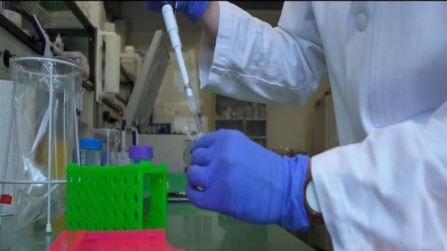 Ευλογιά των πιθήκων: Στο μικροσκόπιο νέα ύποπτα κρούσματα – Τα νεότερα για την υγεία του επιβεβαιωμένου κρούσματος