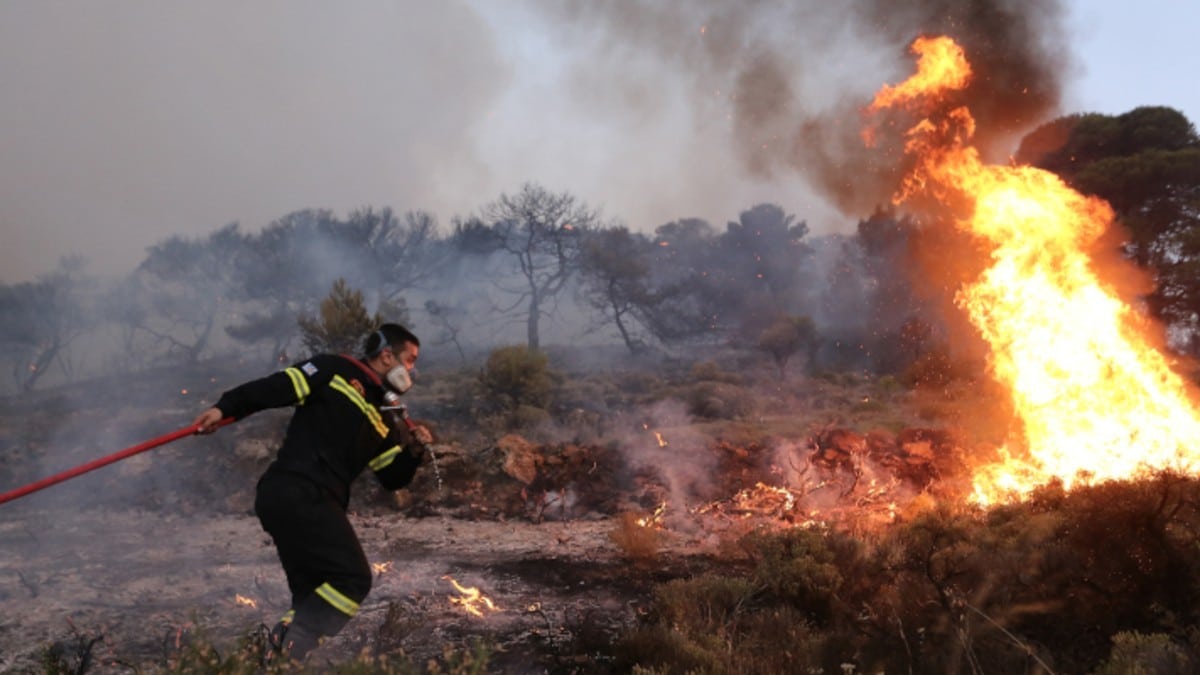 Συναγερμός στην Αργολίδα: Φωτιά στην περιοχή Πουλακίδα