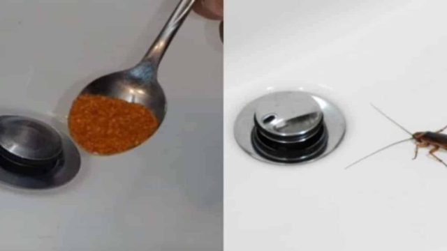 Ούτε απολύμανση, ούτε χημικά: Εξαφανίστε τις κατσαρίδες από το μπάνιο για μήνες με μόλις μια κουταλιά!