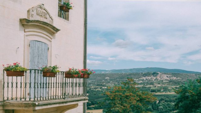 Γεράνια: Τα πιο ανθεκτικά φυτά! Βάλτε τα στο μπαλκόνι σας και ομορφύνετε τον χώρο σας